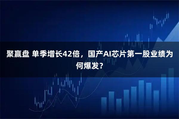 聚赢盘 单季增长42倍，国产AI芯片第一股业绩为何爆发？