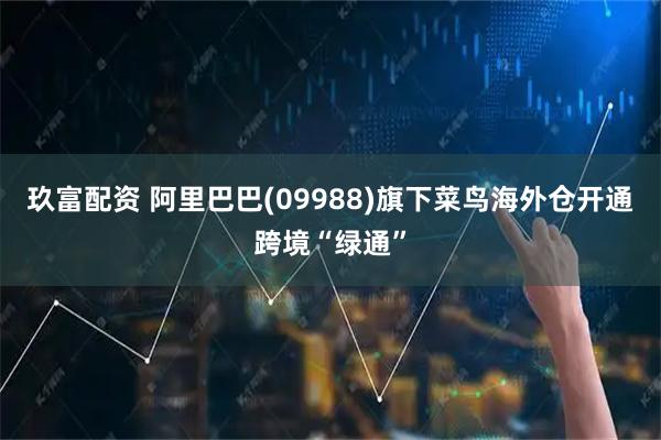 玖富配资 阿里巴巴(09988)旗下菜鸟海外仓开通跨境“绿通”