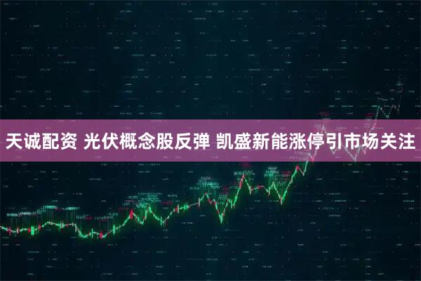 天诚配资 光伏概念股反弹 凯盛新能涨停引市场关注