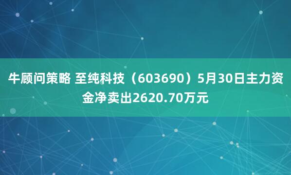 牛顾问策略 至纯科技（603690）5月30日主力资金净卖出2620.70万元
