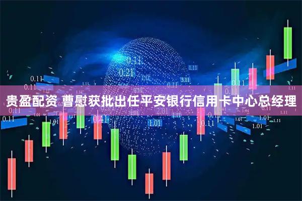贵盈配资 曹慰获批出任平安银行信用卡中心总经理